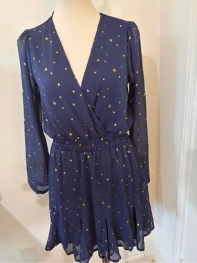 Mi Amore Navy Dress with Gold Star Print